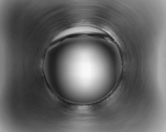 X0000088920849200706081358