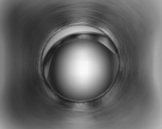 X0000088920850200706081358