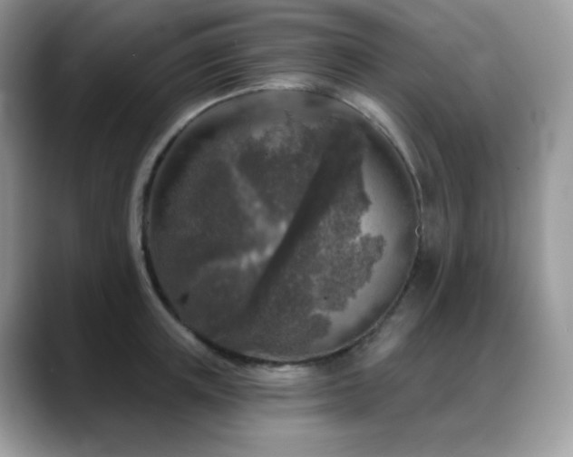 X0000088920851200706081358
