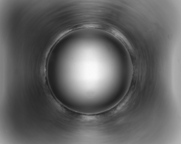 X0000088920852200706081358