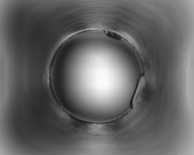 X0000088920854200706081358