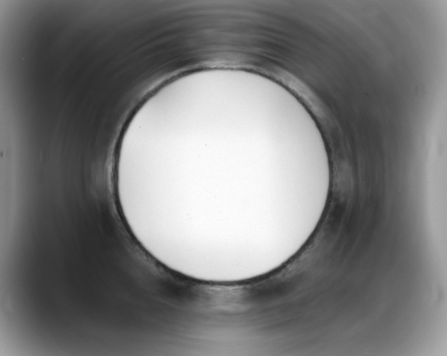 X0000088920856200706081358