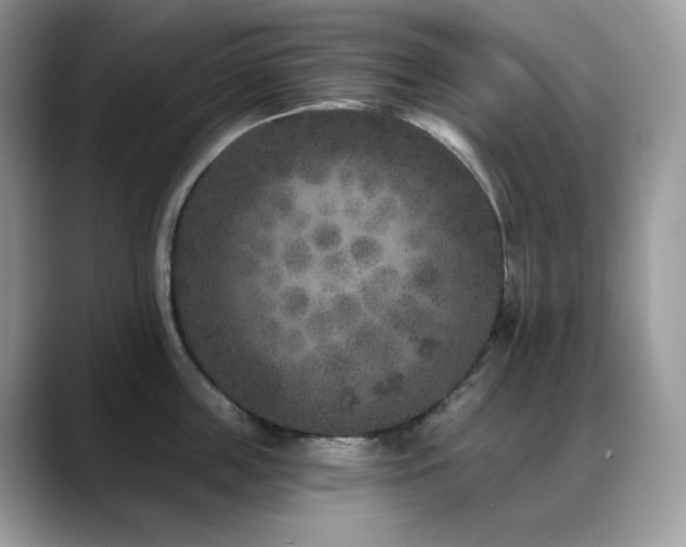 X0000088920859200706081358