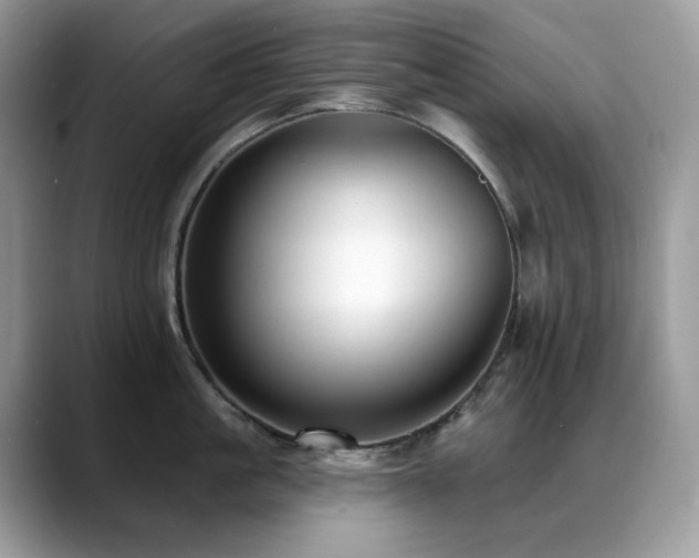 X0000088920861200706081358