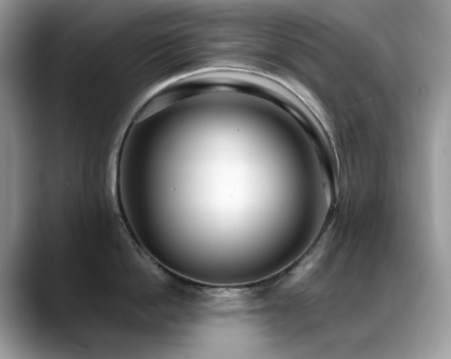 X0000088920862200706081358