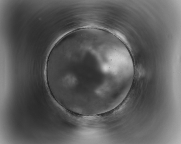 X0000088920863200706081358
