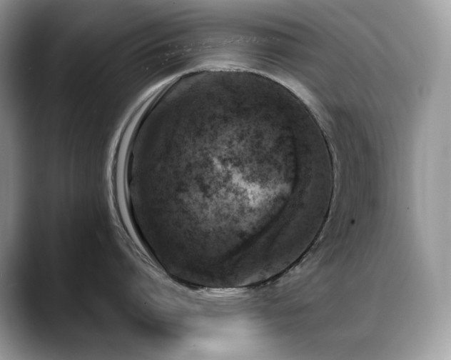 X0000088920864200706081358
