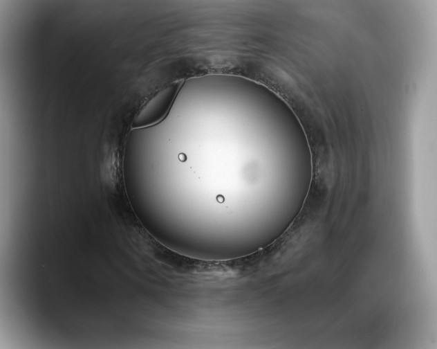 X0000088920866200706081357