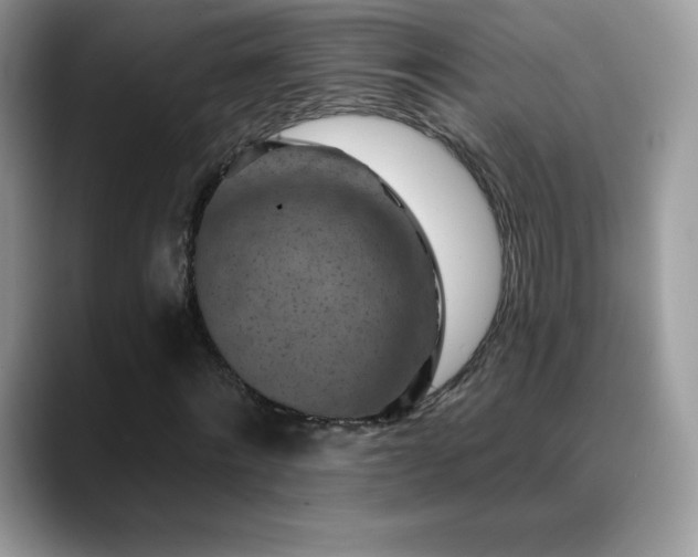 X0000088920868200706081357