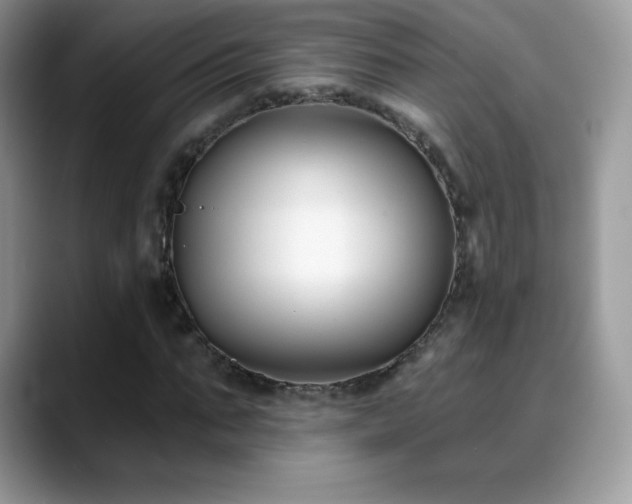 X0000088920871200706081357