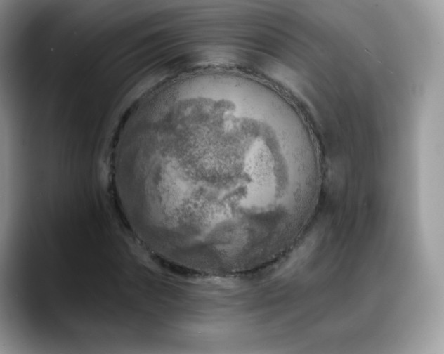 X0000088920874200706081357