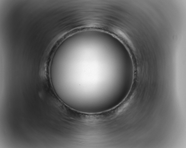 X0000088920875200706081357