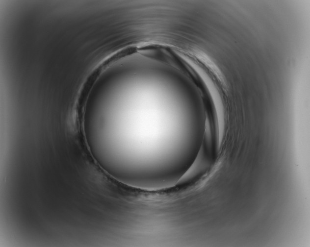 X0000088920876200706081357