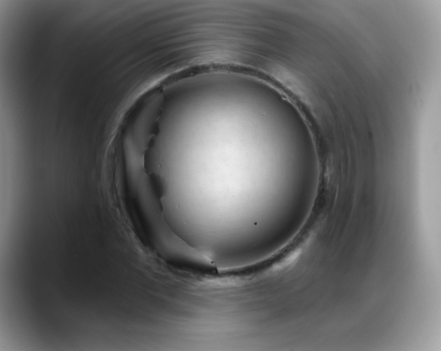 X0000088920877200706081357