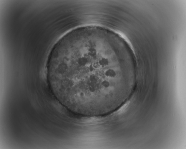X0000088920879200706081357