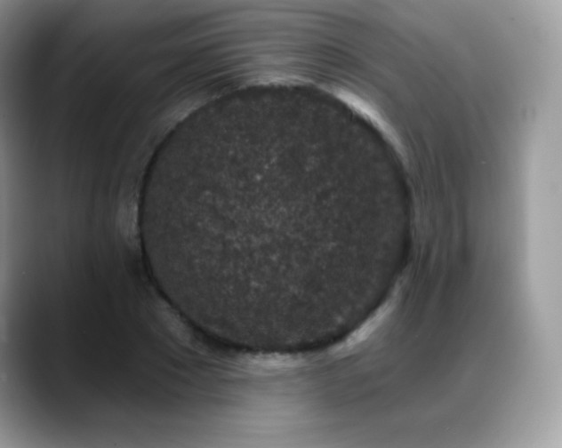 X0000088920881200706081357