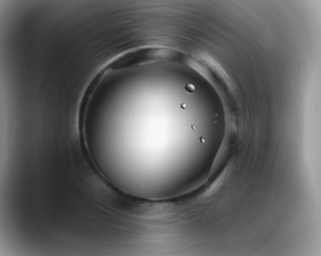 X0000088920884200706081357