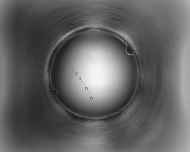 X0000088920887200706081357
