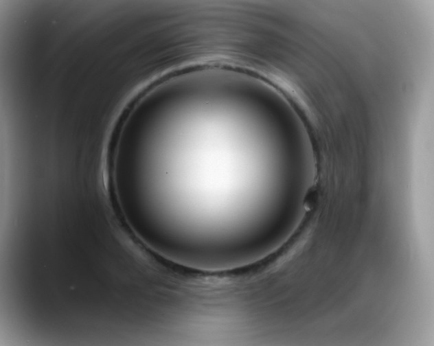 X0000088920888200706081357