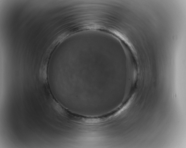 X0000088920889200706081357