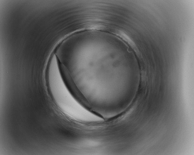 X0000088920891200706081357