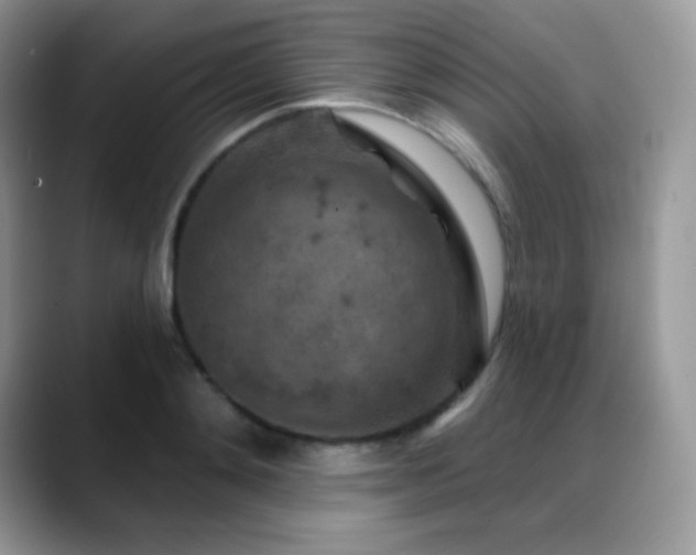 X0000088920892200706081357