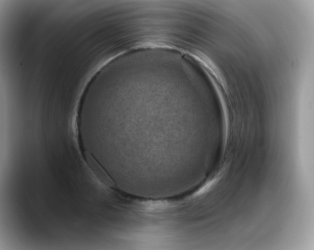 X0000088920893200706081357