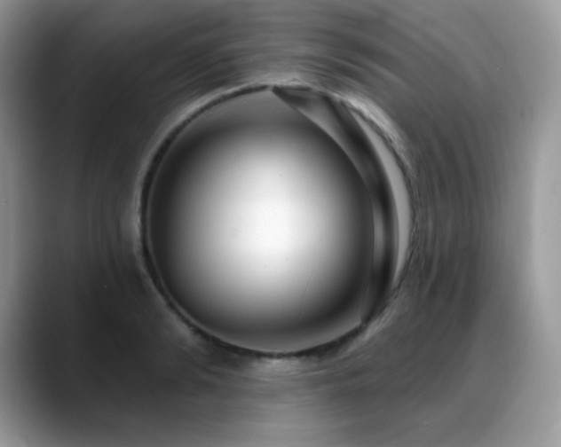 X0000088920894200706081357