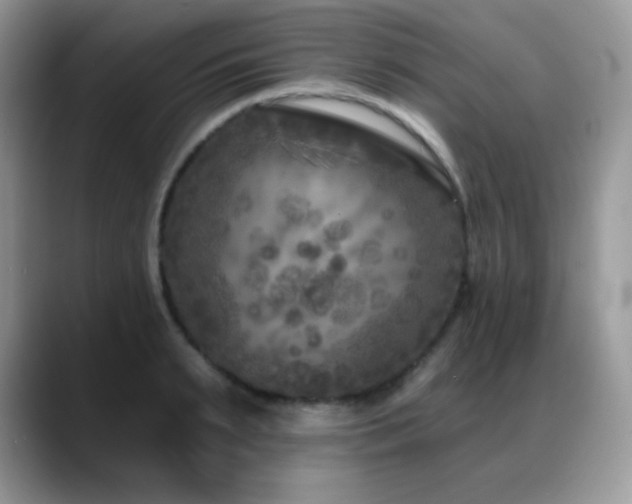 X0000088920895200706081357