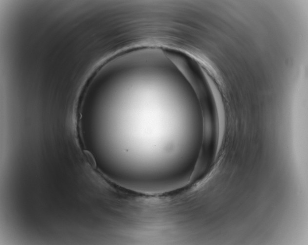 X0000088920896200706081357