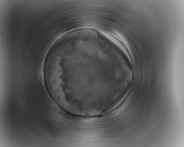 X0000088920899200706081357