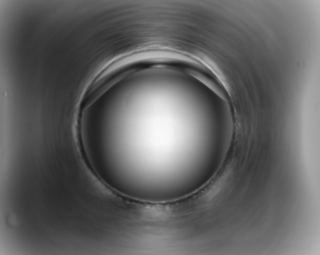 X0000088920901200706081357