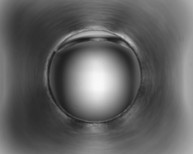 X0000088920902200706081357