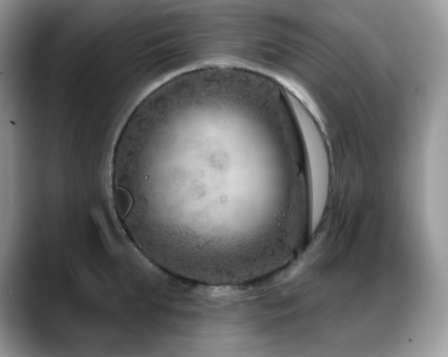X0000088920903200706081357