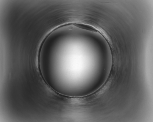 X0000088920904200706081357