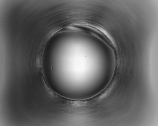 X0000088920905200706081357