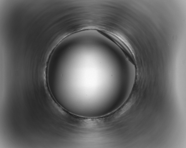 X0000088920906200706081357