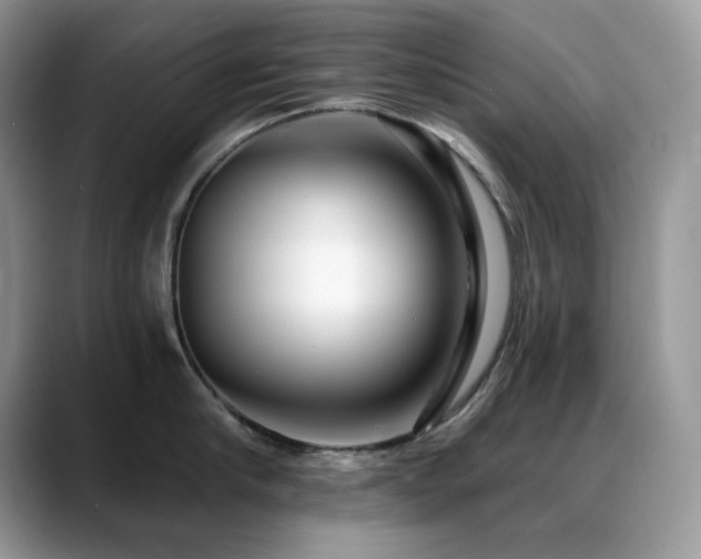 X0000088920910200706081357