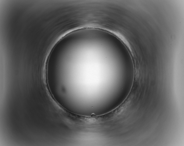X0000088920911200706081357