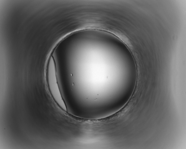 X0000088920912200706081357