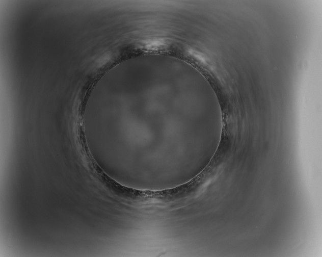 X0000088920913200706081356