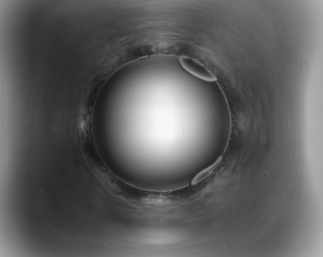 X0000088920914200706081356