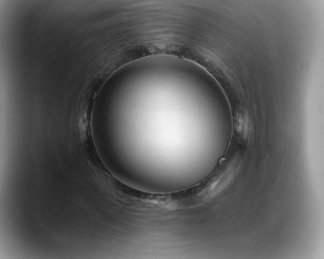 X0000088920915200706081356