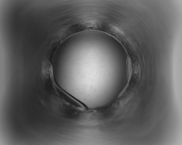X0000088920916200706081356