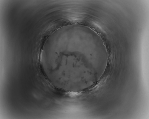X0000088920917200706081356