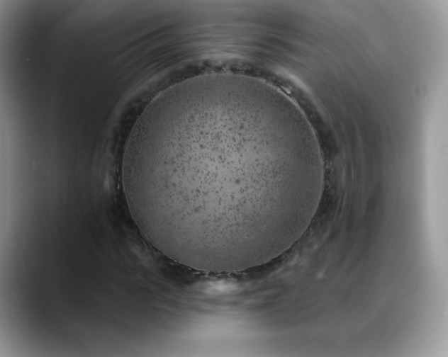 X0000088920919200706081356