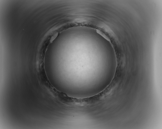 X0000088920920200706081356