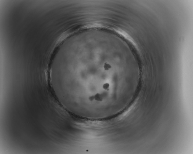 X0000088920921200706081356