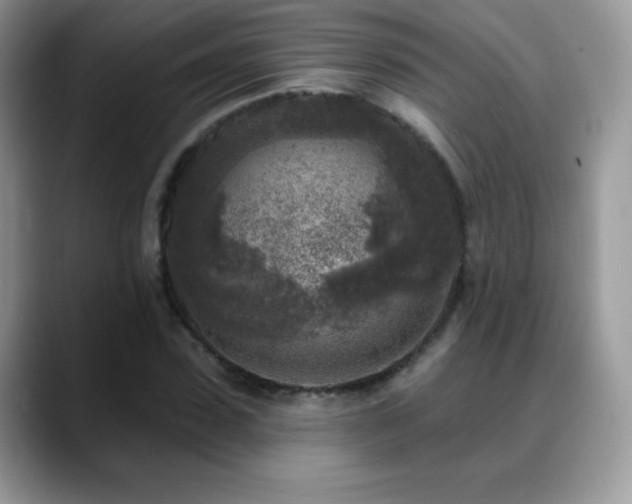 X0000088920923200706081356