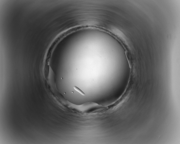 X0000088920924200706081356